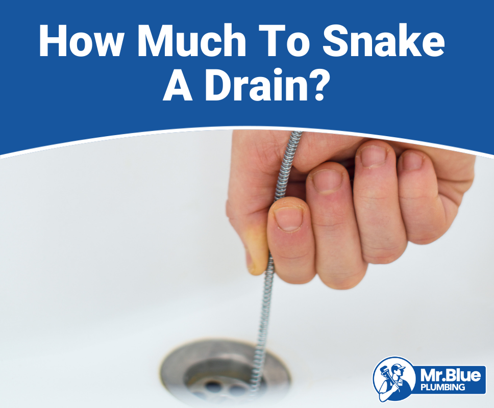 How Much Does a Plumber Cost to Snake a Drain?